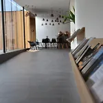 Bellevue - Incl Summercard * زيل أم سي