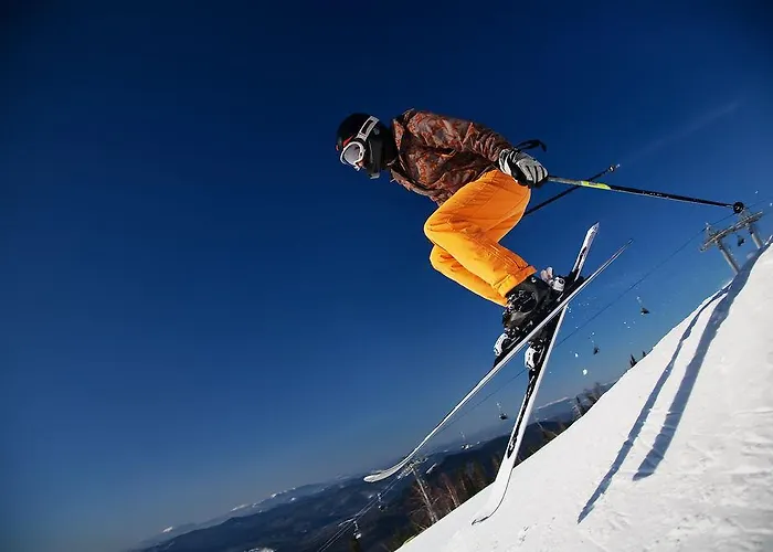 Bellevue - Incl Summercard Zell am See