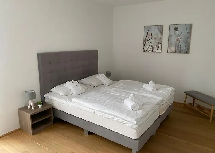 Bellevue - Incl Summercard Apartamento Zell am See