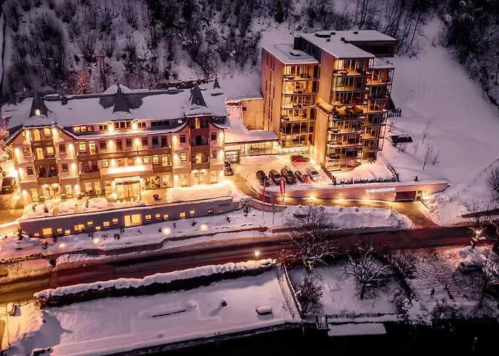 Bellevue - Incl Summercard Apartamento Zell am See